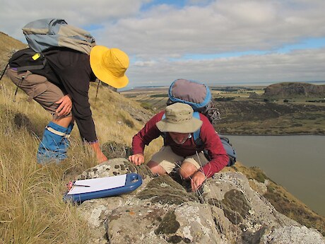 Oashore, Banks Peninsula