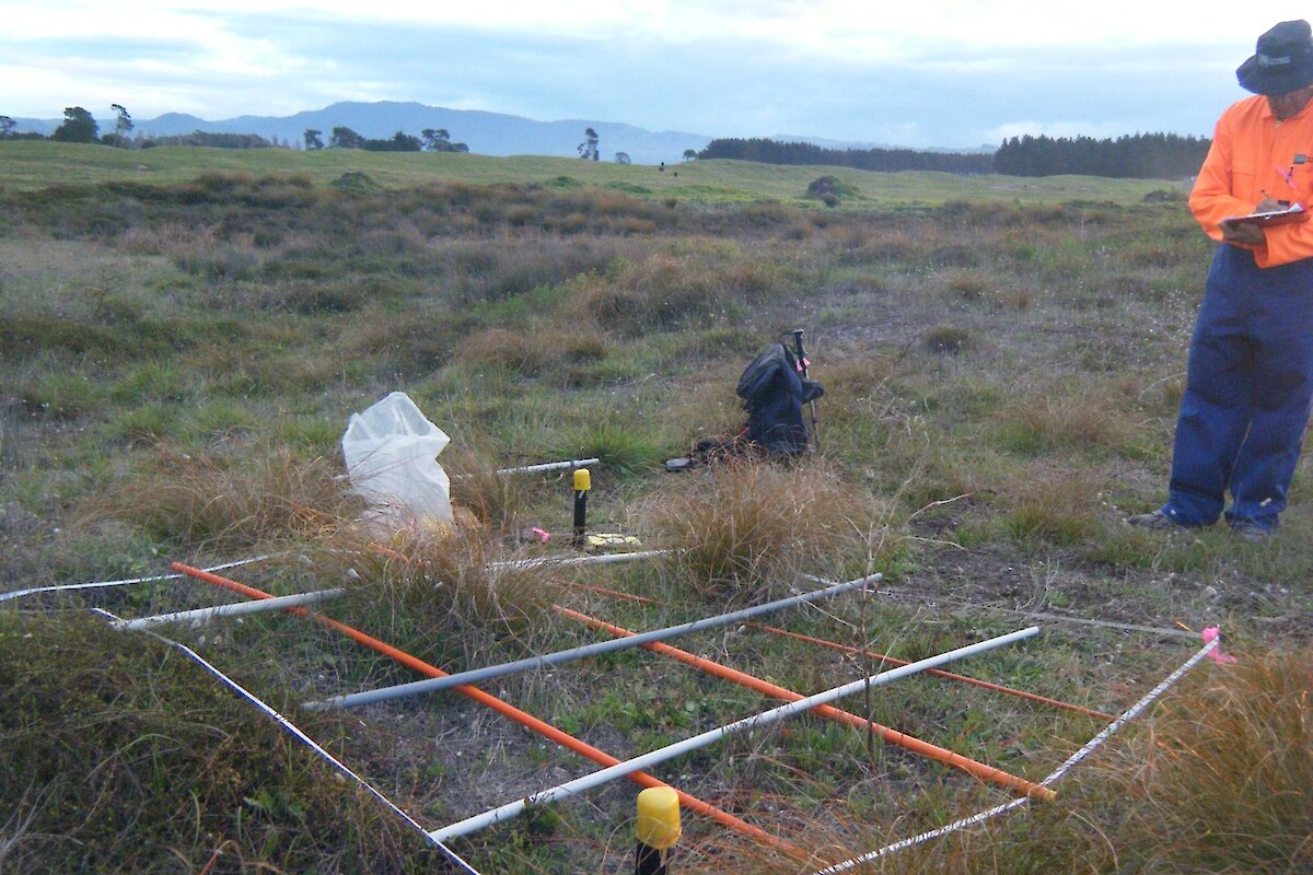 Vegetation monitoring Plot 20