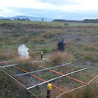 Vegetation monitoring Plot 20