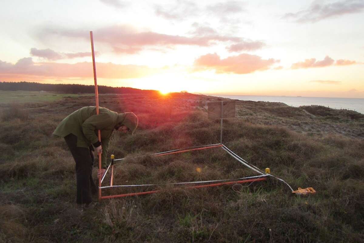 Sunset at Te Tumu Kaituna 7b2 ecological restoration project