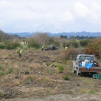 Plantings, 2006