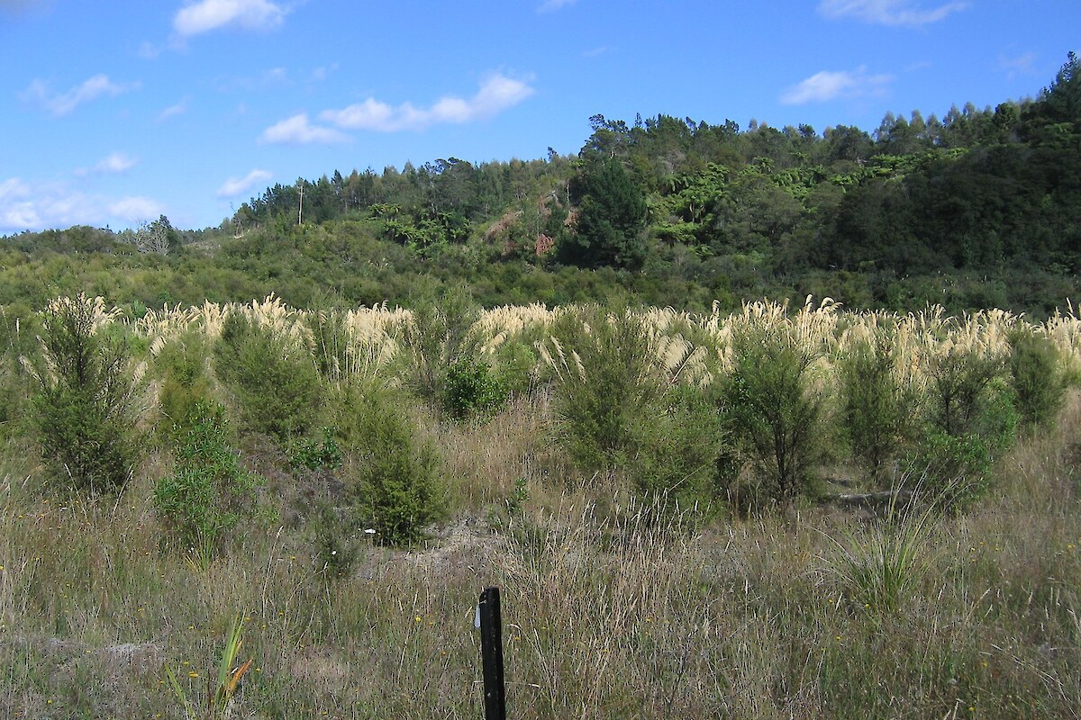 Photopoint monitoring, January 2008