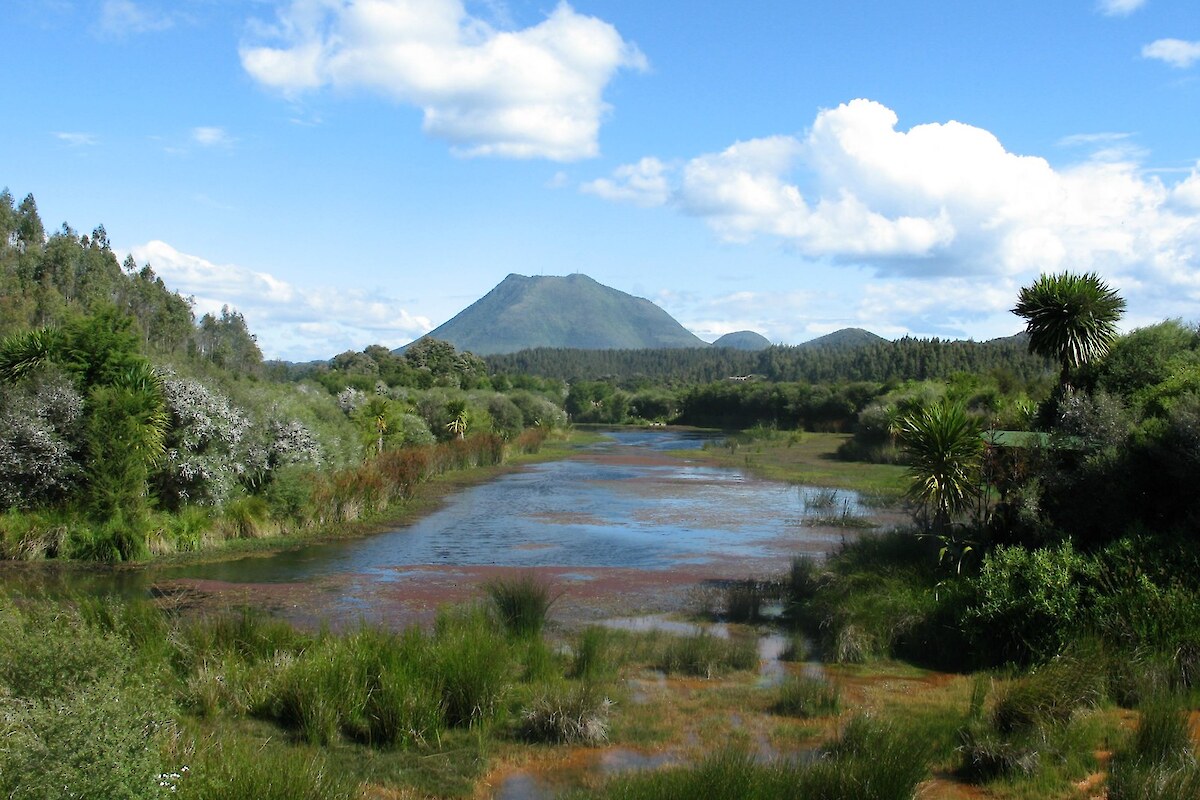 Pūtauaki (Mt Edgecumbe) from the project site