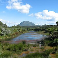 Pūtauaki (Mt Edgecumbe) from the project site