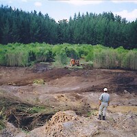 Weeds being cleared in 1999