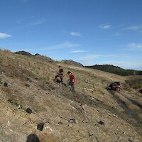 Planting of the landfill in 2010