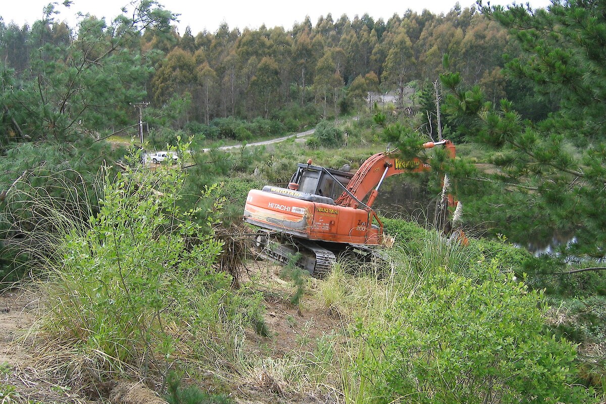 Tree ripping, 2007