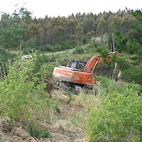 Tree ripping, 2007