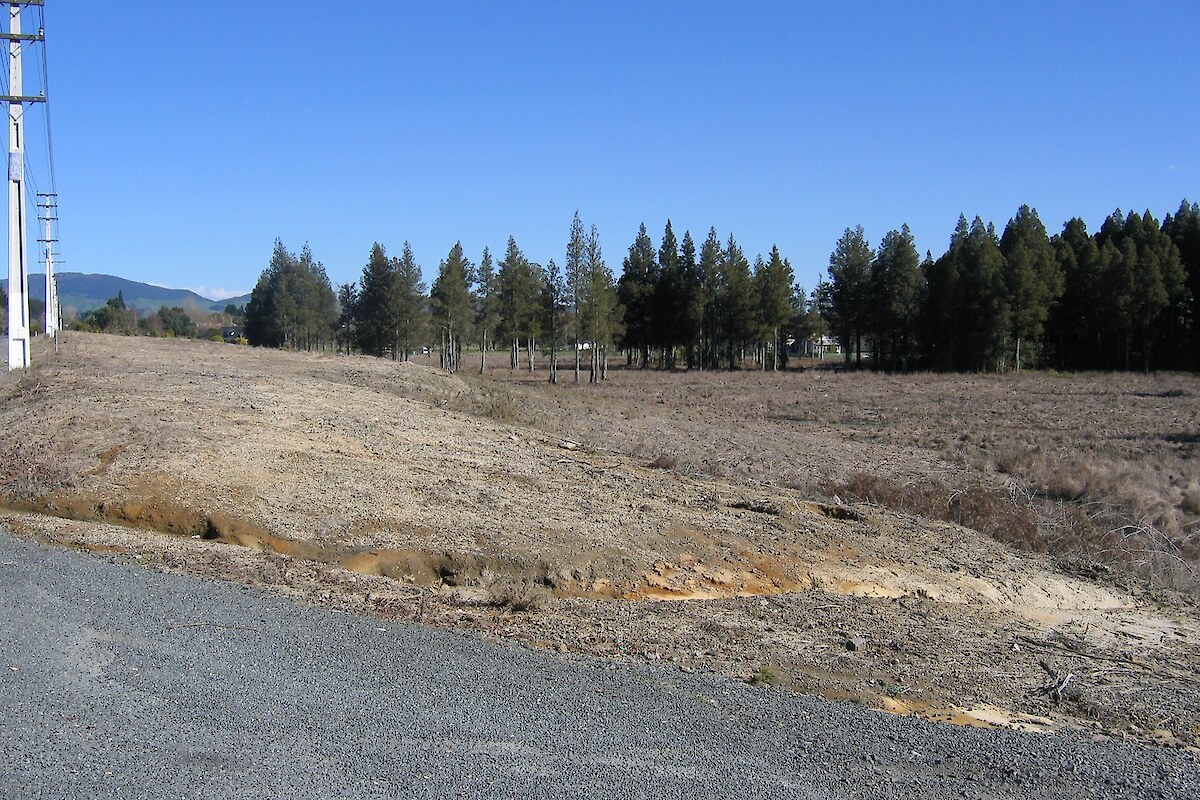 Ready for planting (August 2005). The main highway is to the left of the photograph