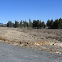 Ready for planting (August 2005). The main highway is to the left of the photograph