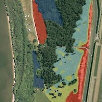 Indigenous revegetation zones based on soil moisture (red: well-drained; yellow: damp; light blue: wetland; dark blue: mosaic of wetland and well-drained)