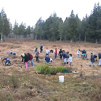 Planting days have been held each year with Rotokawa School (July 2006)