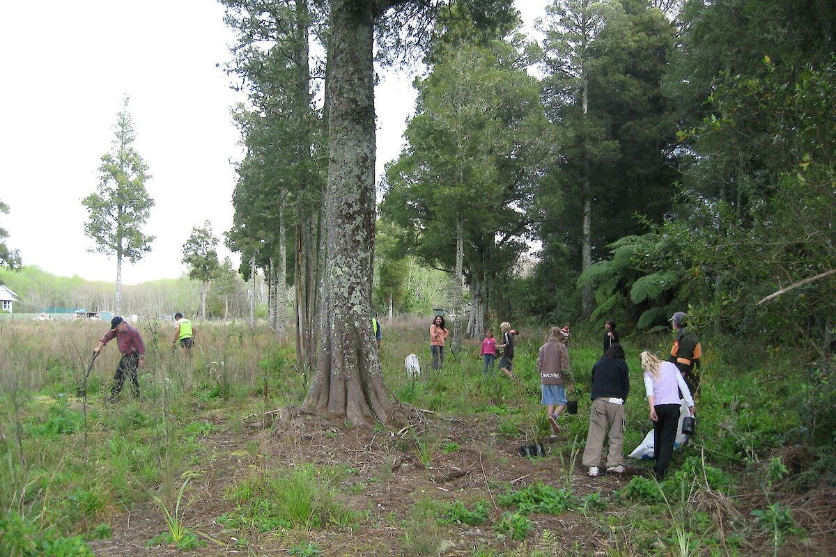 Planting day with Rotokawa School (September 2007)