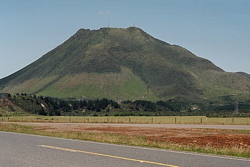 Pūtauaki in 2003 showing the areas where plantation forest has been harvested and indigenous vegetation is being re-established