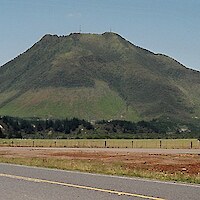 Pūtauaki in 2003 showing the areas where plantation forest has been harvested and indigenous vegetation is being re-established