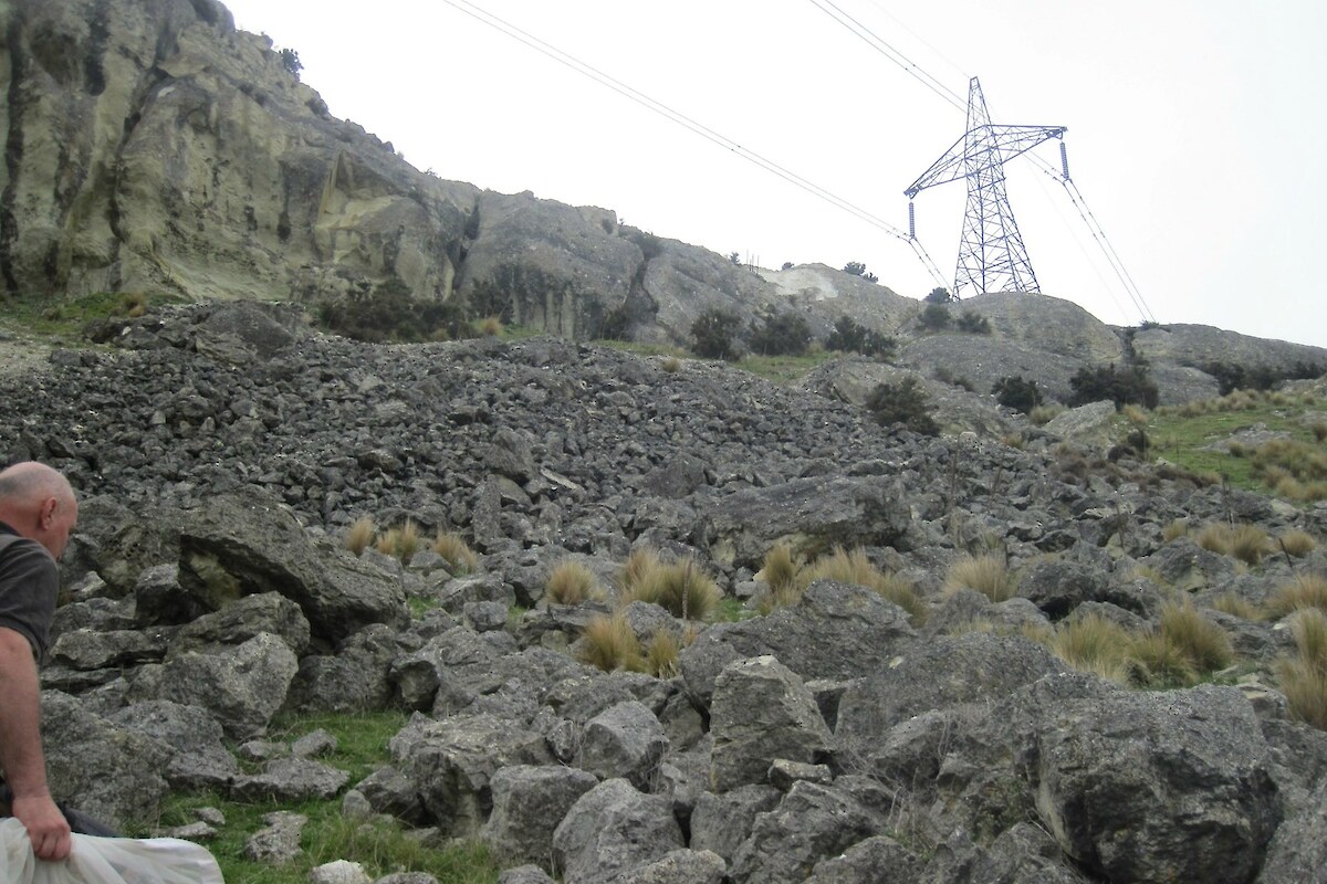 The rock pile below the ridge provides habitat for lizards