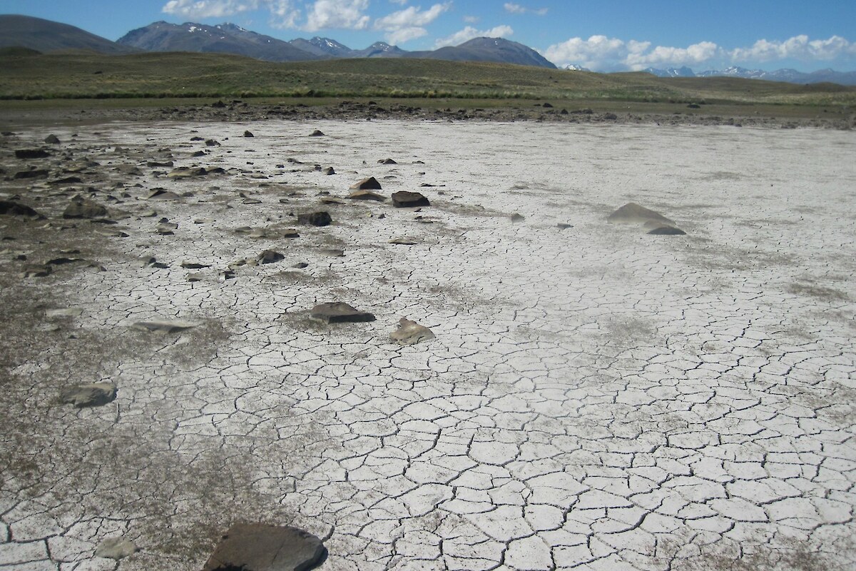 Large saline tarn, showing darker patches of indigenous turf vegetation on the dried out surface