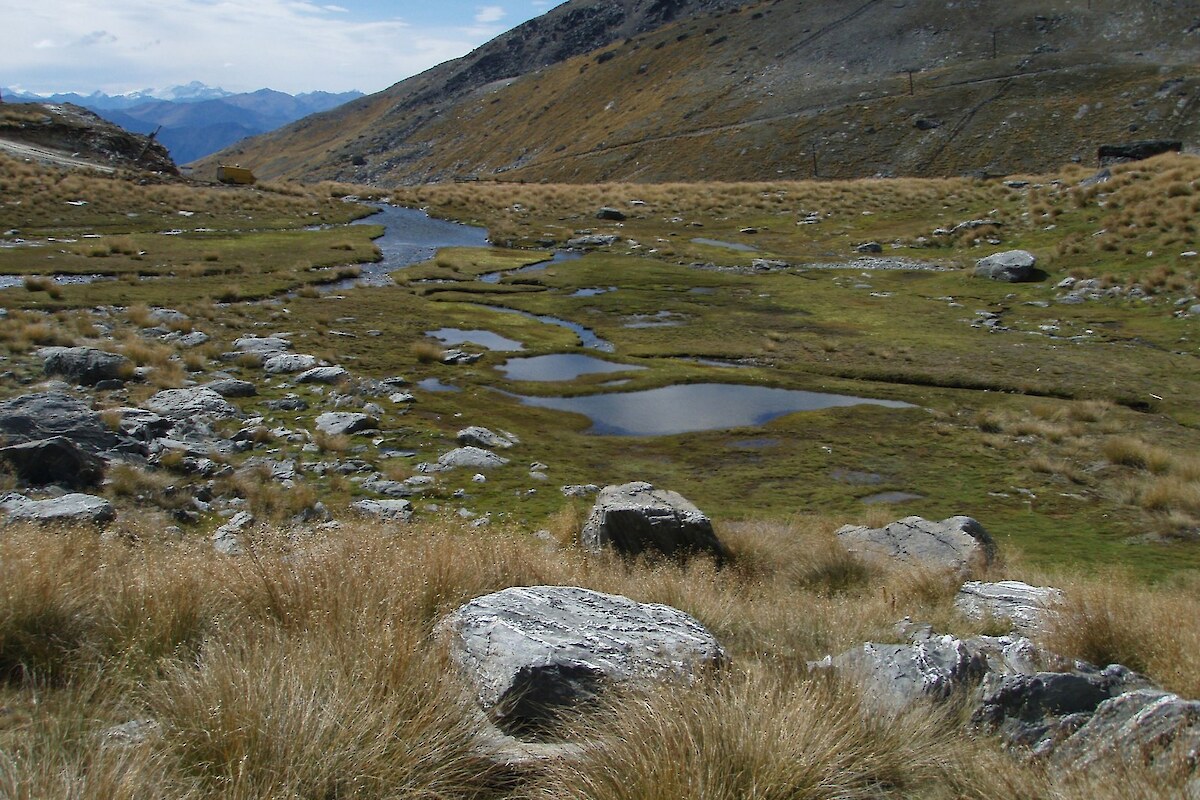 String mire below Lake Alta