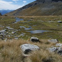 String mire below Lake Alta