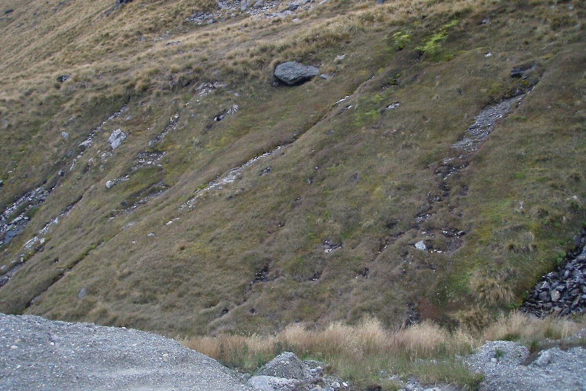 <em>Schoenus pauciflorus</em>-dominated flush/seepage alongside the Rastus Burn and Ski Area access road