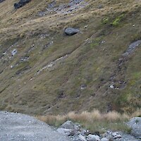 <em>Schoenus pauciflorus</em>-dominated flush/seepage alongside the Rastus Burn and Ski Area access road