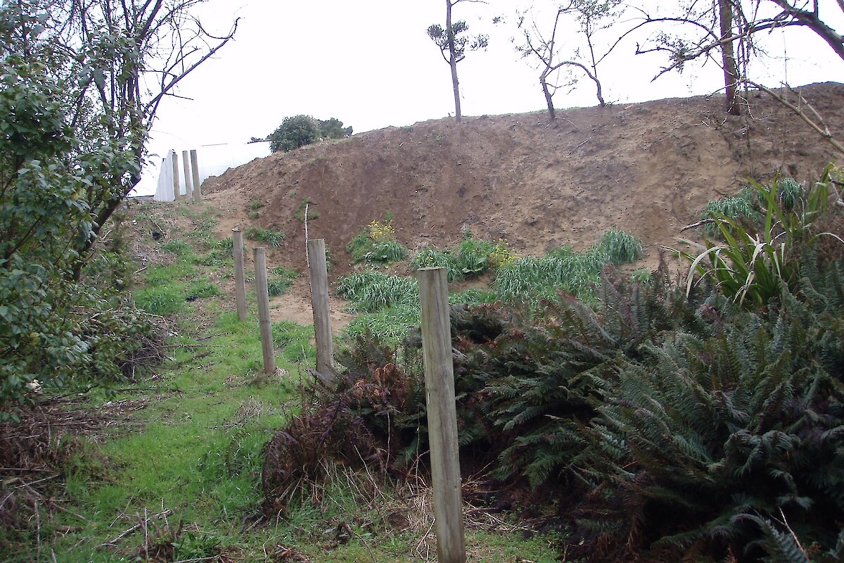 Subdivision encroachment on indigenous vegetation at Otatara