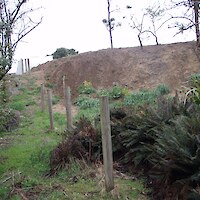 Subdivision encroachment on indigenous vegetation at Otatara